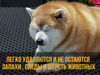 Коврик в багажник авто универсальный