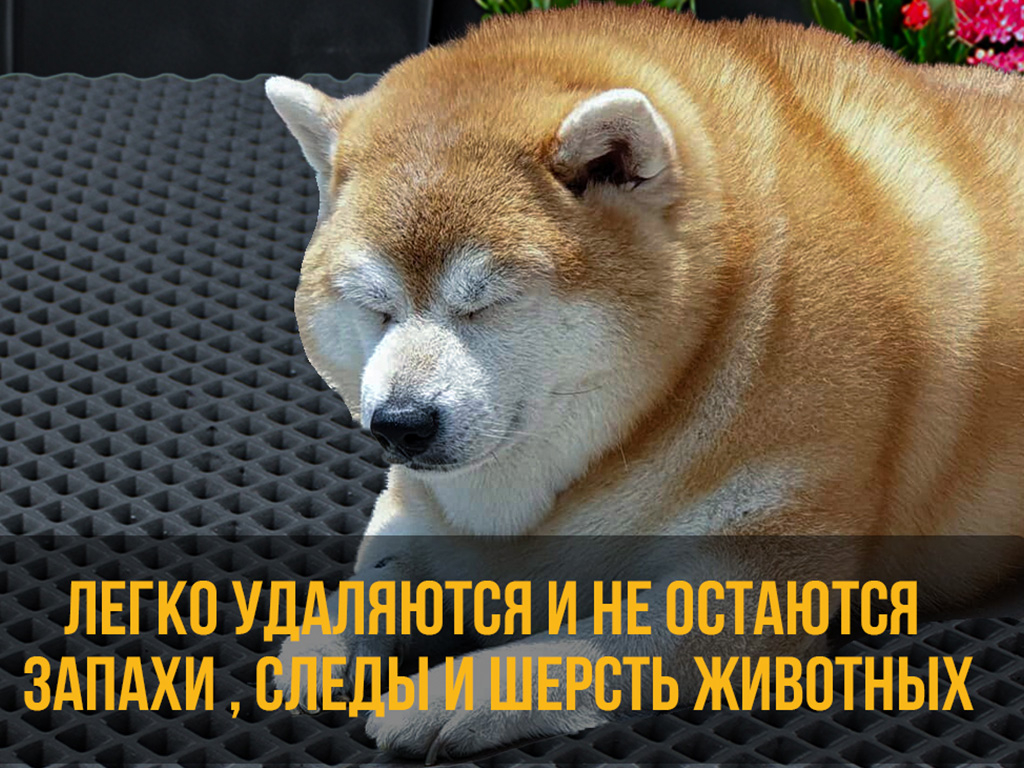 Коврик в багажник авто универсальный